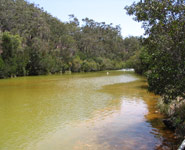 DMandE Contaminated River
